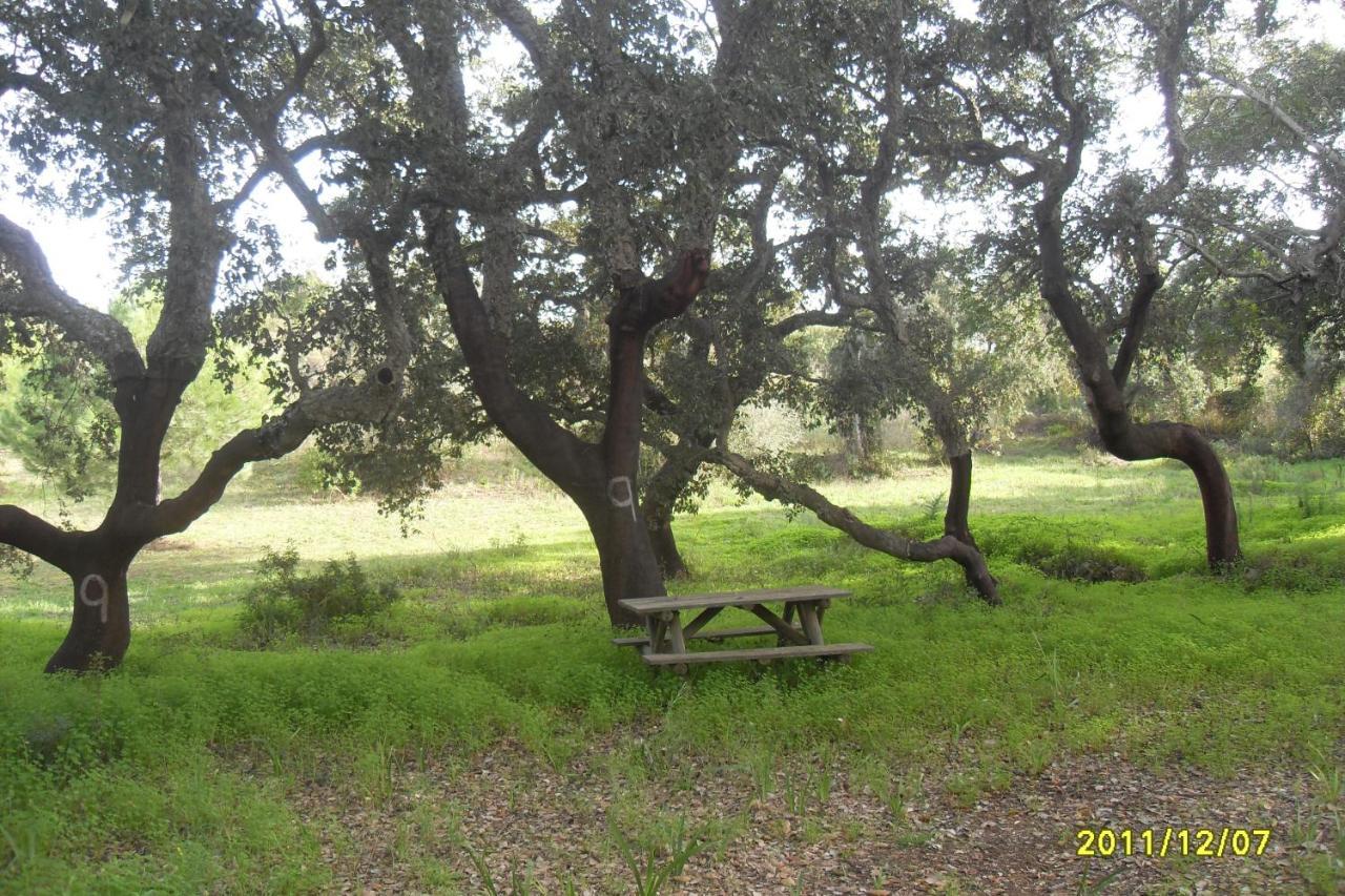 Monte Areias Casa De Campo/passadico/pateo/rampa Porches (Algarve)